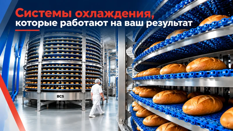 coller_ru_800.webp