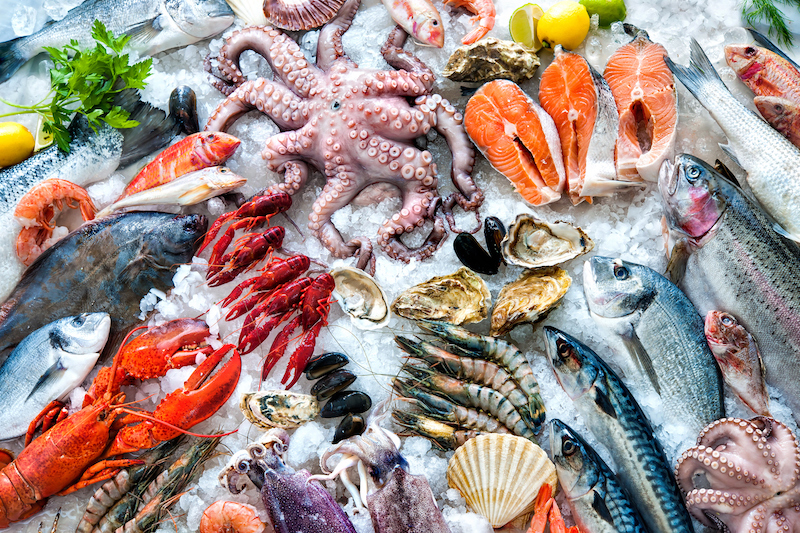 Система замораживания и глазировки рыбы и морепродуктов | ITP-GROUP