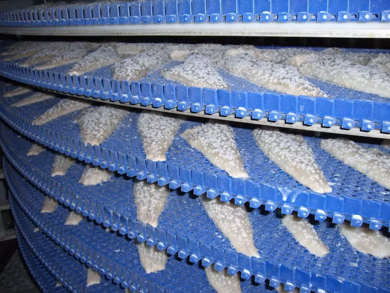 Спиральный конвейер для заморозки рыбы и морепродуктов | ITP-GROUP