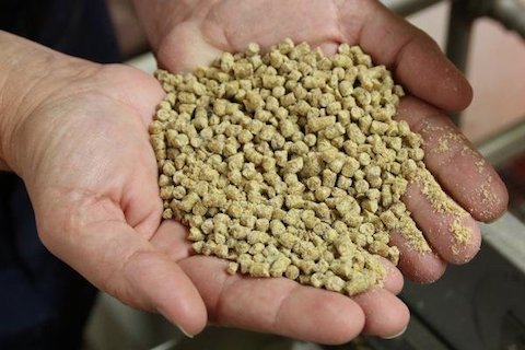 Комбікормові заводи під ключ від OCRIM