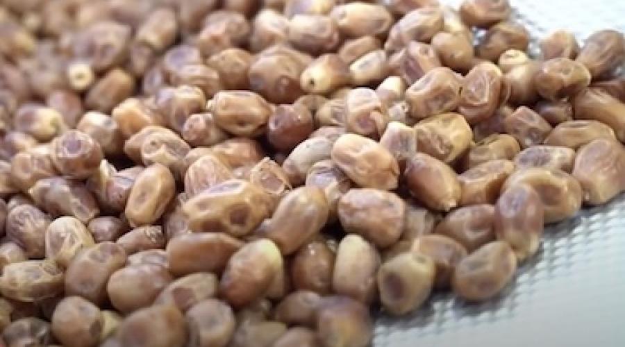 Преміальна упаковка сухофруктів у дойпак