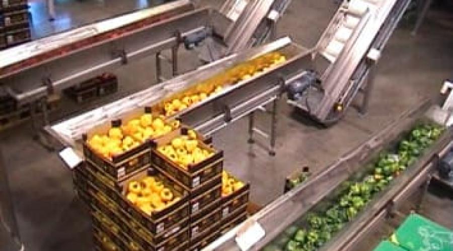 Упаковка свежих овощей разных цветов