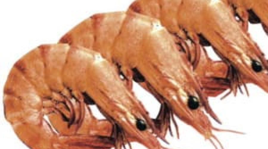 Упаковка замороженных морепродуктов в пакет